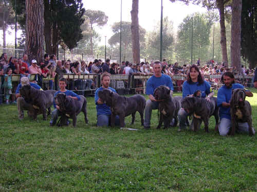 gruppo Fossombrone a Firenze 2006